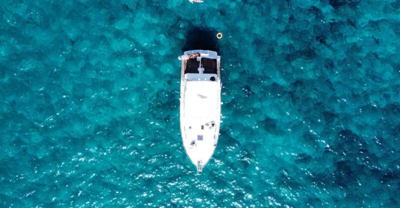 Whale & Dolphin Tour With Local Skipper - Included Amenities