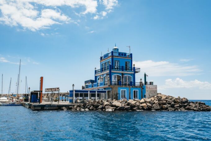 Whale & Dolphin Tour With Local Skipper - Frequently Asked Questions