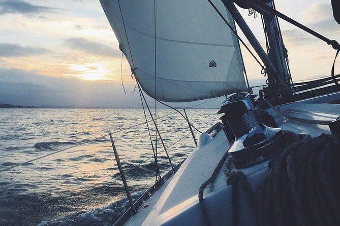 Whale & Dolphin Watching Boat Trip in Tenerife On a Sailing Boat (3 Hr) - Inclusions and Restrictions
