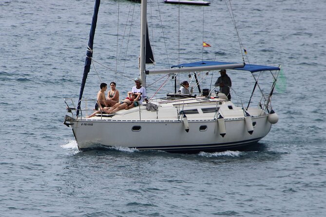 Whale & Dolphin Watching Boat Trip in Tenerife On a Sailing Boat (3 Hr) - Customer Feedback Overview
