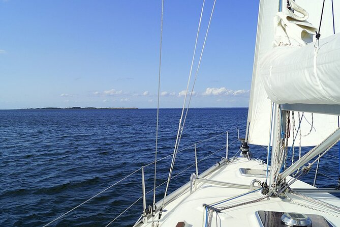 Whale & Dolphin Watching Boat Trip in Tenerife On a Sailing Boat (3 Hr) - Whale and Dolphin Sightings