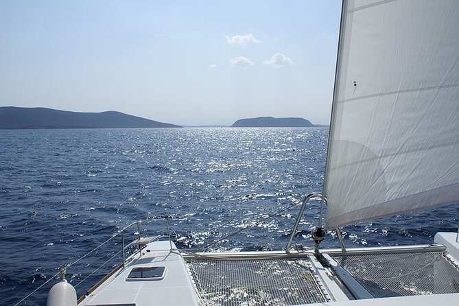 Whale & Dolphin Watching in Tenerife (Puerto Colon) On a Large Catamaran - Booking and Availability