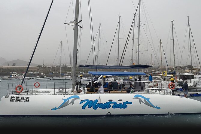 Whale & Dolphin Watching With Mustcat Virgin Coast Trip On a Large Catamaran - Meeting Point and Pickup