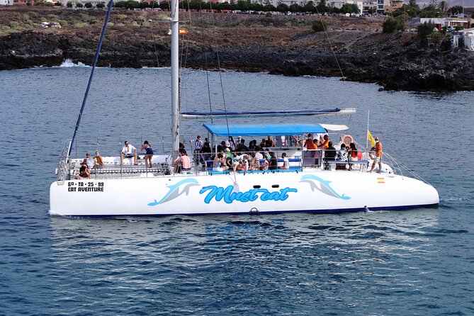 Whale & Dolphin Watching With Mustcat Virgin Coast Trip On a Large Catamaran - Cancellation Policy