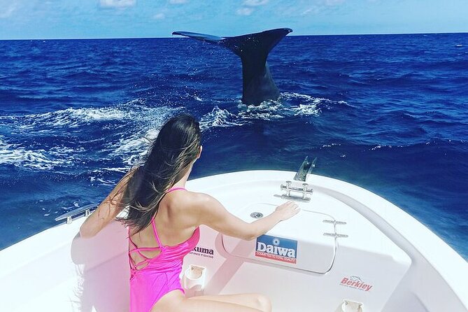 Whale Dream Ltd - Whale Watching and Swim With Dolphins - Customer Reviews