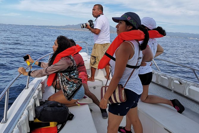 Whale Encounter Puerto Vallarta - Meeting Point