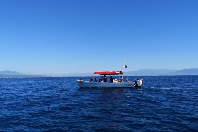 Whale Encounter Puerto Vallarta - Conservation Efforts