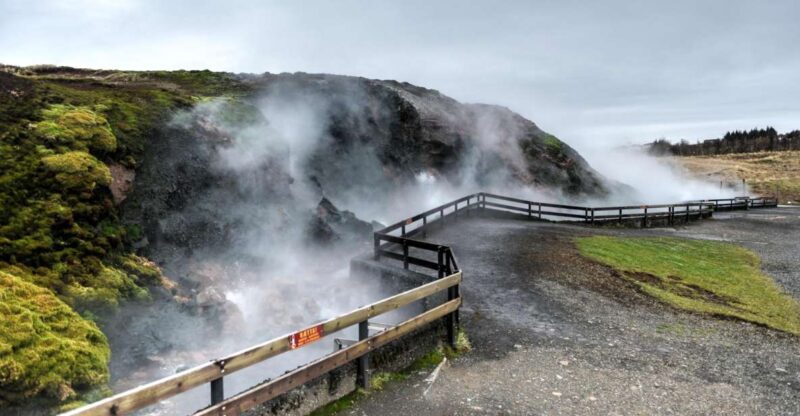 Whale Fjord & Silver Circle Iceland - Experience and Activities
