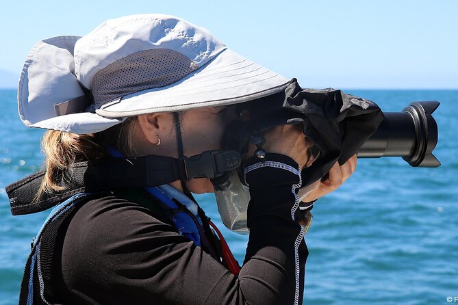 Whale Research Adventure - Leaded by Marine Biologist. - Customer Feedback and Recommendations