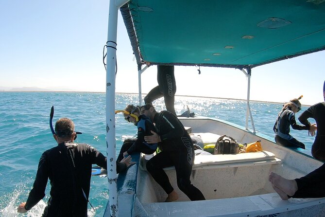 Whale Shark 4 Hour Tour in La Paz - Meeting and Pickup Details