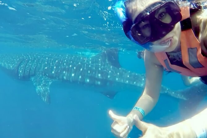 Whale Shark Adventure in Isla Mujeres and Cancun - Suitability and Accessibility