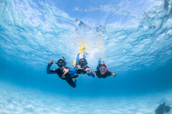 Whale Shark Adventure Tour - End Point