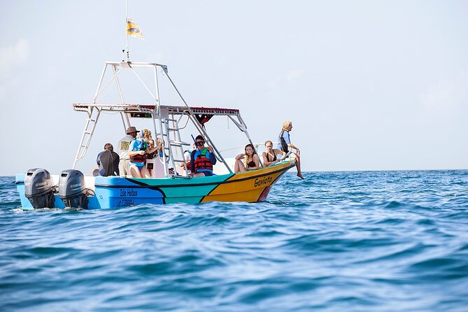 Whale Shark and Snorkeling Adventure From Isla Holbox - Tour Group Size and Age Restrictions