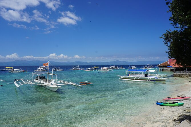 Whale Shark, Canyoneering, Sardines Run and Turtles With Transpo - Inclusions and Transportation