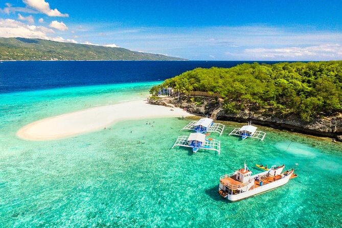 Whale Shark Encounter and Sumilon Sandbar With Kawasan Falls - Inclusions and Equipment