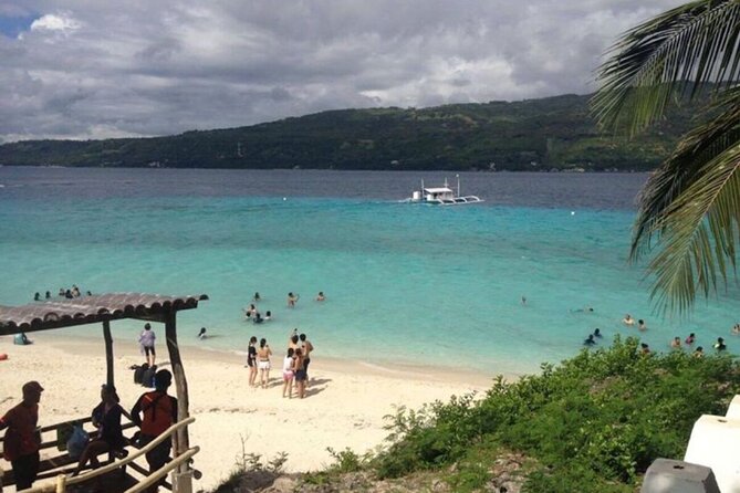 Whale Shark Encounter and Sumilon Sandbar With Kawasan Falls - Customer Experience and Reviews