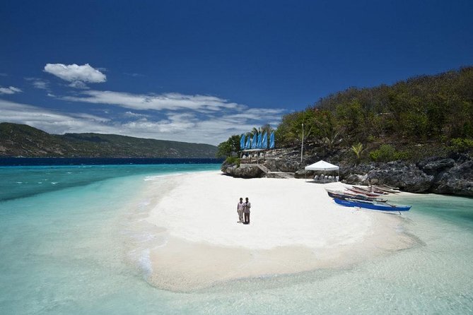 Whale Shark Encounter and Sumilon Sandbar With Kawasan Falls - Pickup Information