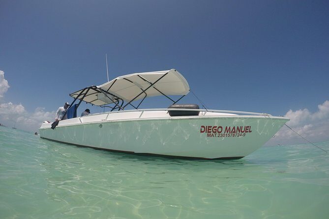 Whale shark encounter Private tour - swim with whale shark cancun - Transportation and Logistical Details