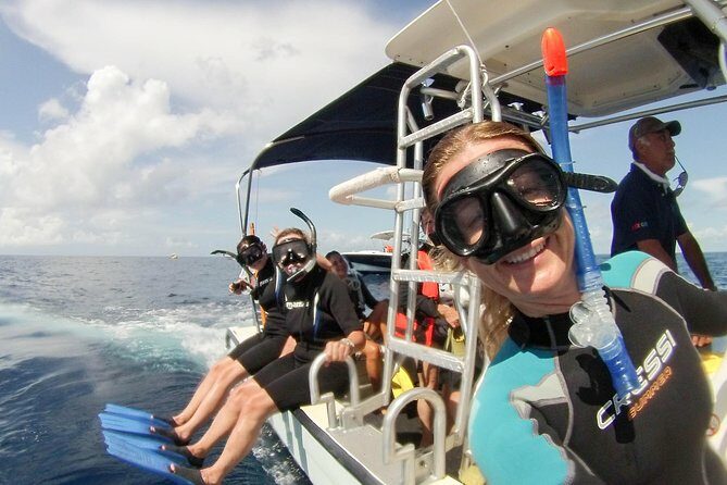 Whale shark encounter Private tour - swim with whale shark cancun - Pricing and Value