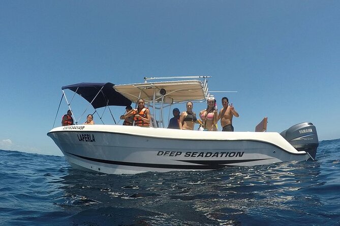 Whale Shark Experience From Playa Del Carmen - Customer Feedback and Ratings