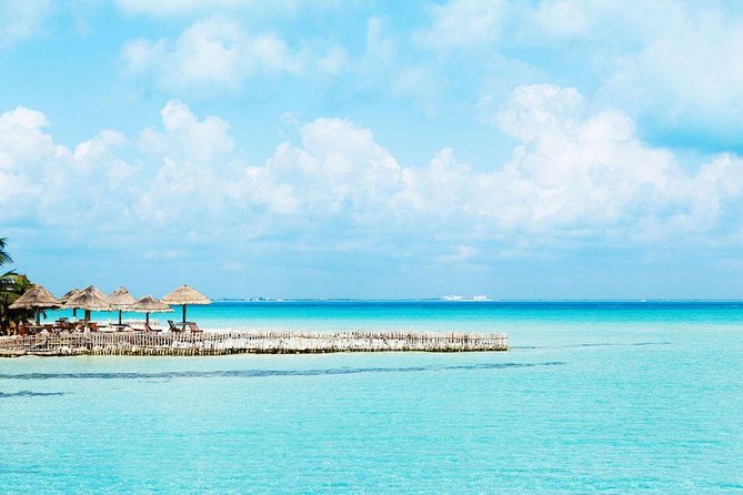 Whale Shark Experience Lifetime Memory in Cancun (Snack Included) - Seasonal Availability and Tour Schedule
