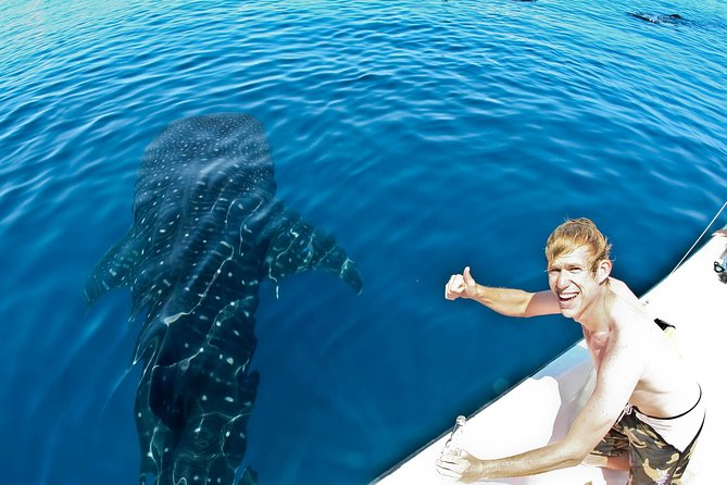 Whale Shark in Cancun - Inclusions and Amenities