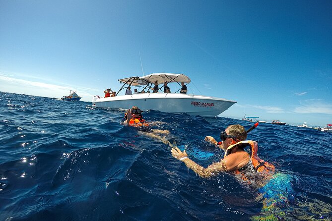 Whale Shark Snorkeling Adventure With Lunch - Booking Details