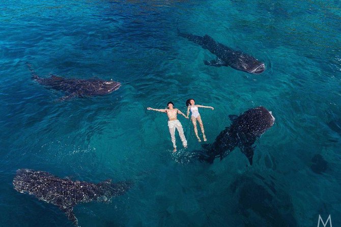 Whale Shark Snorkeling W/ Tumalog Falls & Canyoneering in Kawasan - Tumalog Falls