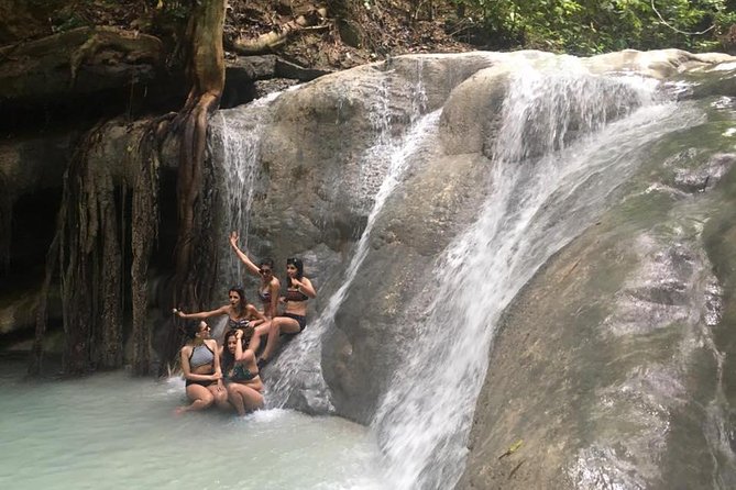 Whale Shark Swimming Experience and Aguinid Falls From Cebu - Experience Overview