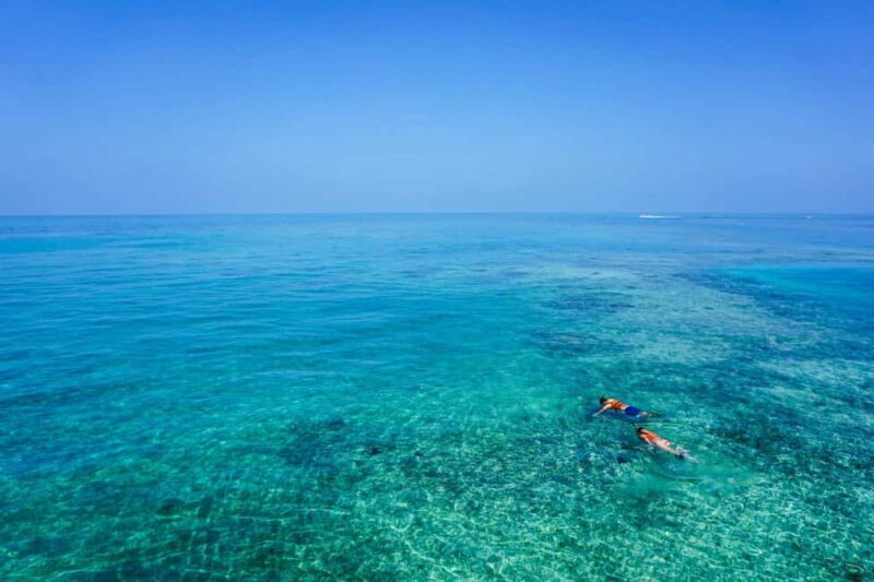 Whale Shark swimming ocean safari all included tour - FAQ