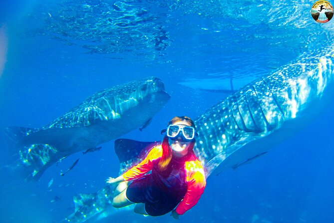 Whale Shark Swimming, Tumalog Falls and Kawasan Canyoneering - Health and Safety Guidelines