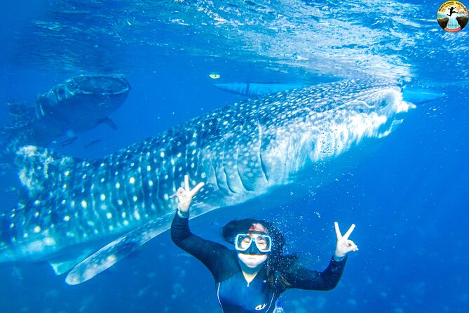 Whale Shark Swimming, Tumalog Falls and Kawasan Canyoneering - Inclusions