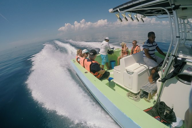 Whale Shark Tour From Cancun, Playa Del Carmen, Tulum and Riviera Maya - Purchasing Photos and Videos