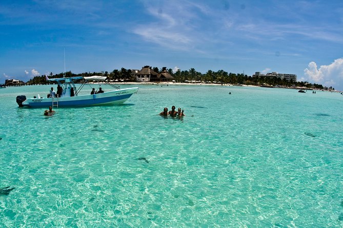 Whale Shark Tour From Cancun, Playa Del Carmen, Tulum and Riviera Maya - Additional Noteworthy Details