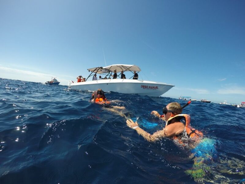 Whale Shark Tour From Rivera Maya. - Booking and Cancellation Policy