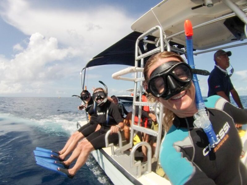 Whale Shark Tour From Rivera Maya. - Frequently Asked Questions