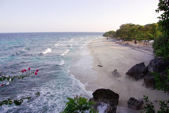 Whale Shark & Tumalog Falls & Sumilon Sandbar & Pescador Island With Sardines - Key Points