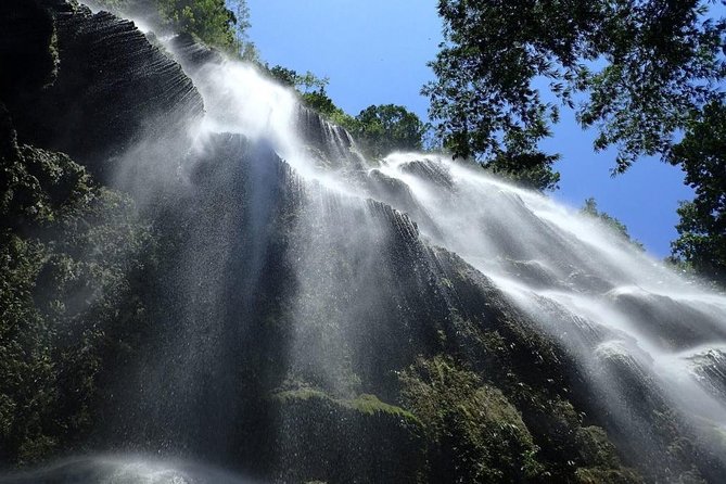 Whale Shark & Tumalog Falls & Sumilon Sandbar & Pescador Island With Sardines - Pickup and Drop-off Details