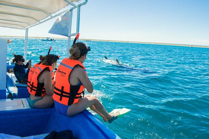 Whale sharks and sea lions snorkeling plus Balandra beach lunch - Who Is This Tour Best For?