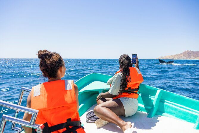 Whale Tour c/ Certified Guide, Photos & Hydrophone - An In-Depth Look at the Cabo Whale Tour