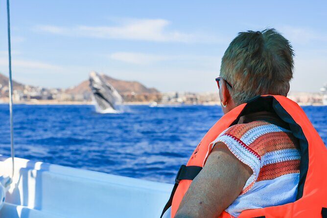 Whale Tour c/ Certified Guide, Photos & Hydrophone - What Makes This Tour Special?