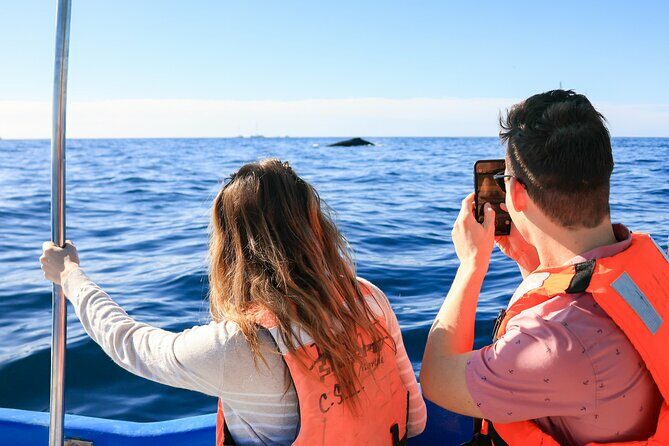 Whale Tour c/ Certified Guide, Photos & Hydrophone - The Sum Up: Is This the Right Whale Tour for You?