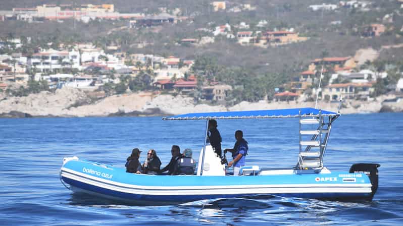 Whale Watch Cabo: Zodiac Whale Adventure - FREE Photos - Cancellation and Guarantee Policies