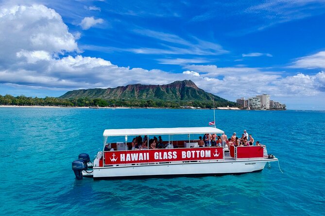 Whale Watch, Dolphins, Turtles and Sightseeing Cruise (Winter Only) - Wildlife-Rich Waters Experience