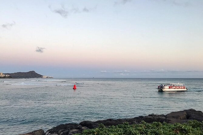 Whale Watch, Dolphins, Turtles and Sightseeing Cruise (Winter Only) - Details of 50-Foot Catamaran