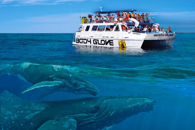 Whale Watch Excursion From the Big Island - Guides and Naturalists