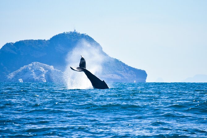 Whale Watching - Environmental Sustainability