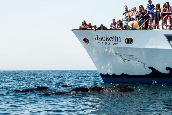 Whale Watching - Tour Duration and Schedule