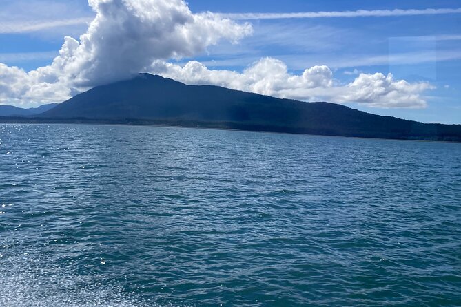 Whale Watching Adventure in Juneau - Onboard Experiences and Crew Expertise