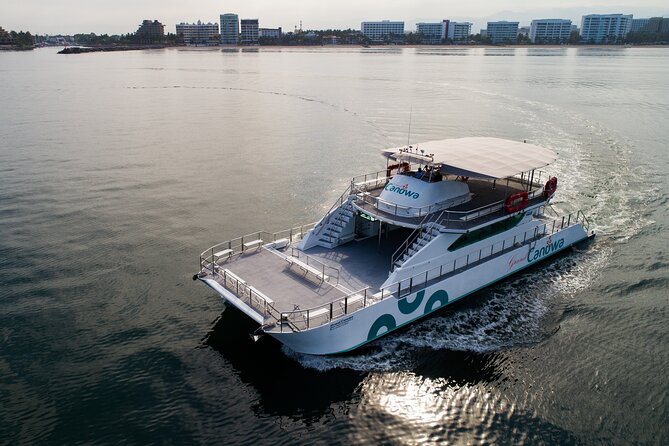 Whale Watching Adventure In Puerto Vallarta - Whale Watching Experience
